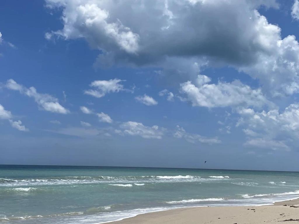Comfy Beach House On فيرو بيتش المظهر الخارجي الصورة